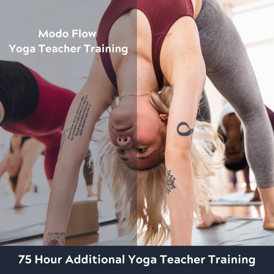 Modo Flow Yoga Teacher Training