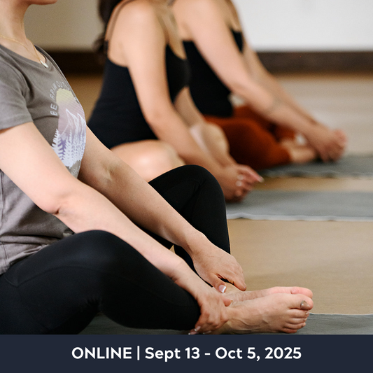 Modo Yin Teacher Training