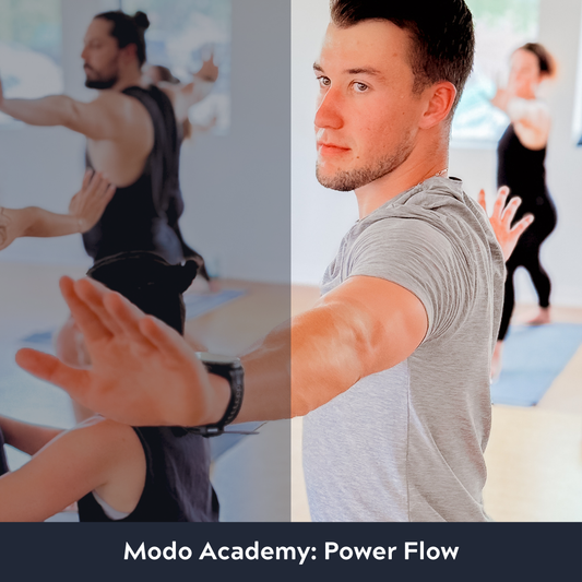 Modo Power Flow