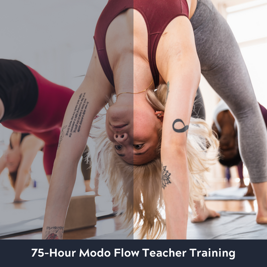 Modo Flow Yoga Teacher Training