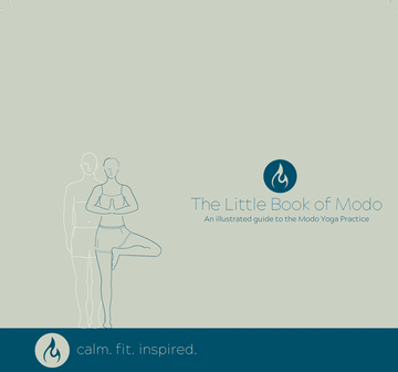 The Little Book of Modo (Digital Download)