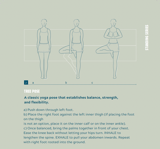 The Little Book of Modo (Digital Download)