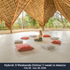200 Hour Foundational Yoga Teacher Training